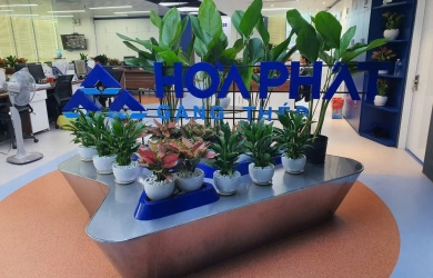 Cho thuê cây cảnh sự kiện